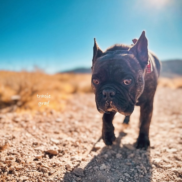 Meet your Posher, Tracie - Picture 14 of 14